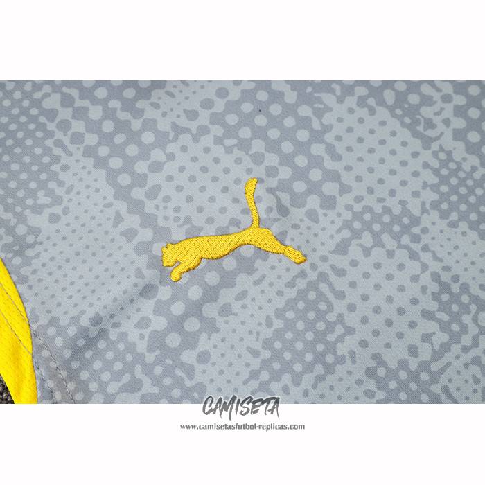 Camiseta de Entrenamiento Borussia Dortmund 2025-2026 Sin Mangas Gris